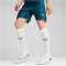 PUMA Torwartshorts Herren 39 - malachite M