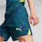 PUMA Torwartshorts Herren 39 - malachite M