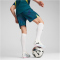 PUMA Torwartshorts Herren 39 - malachite M