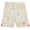 PUMA Torwartshorts Herren 38 - alpine snow M