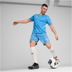 PUMA Torwarttrikot Herren 41 - regal blue XS