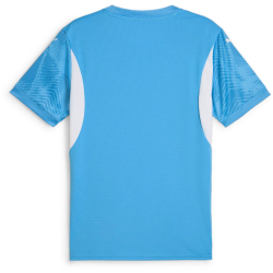 PUMA Torwarttrikot Herren 41 - regal blue M