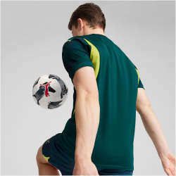 PUMA Torwarttrikot Herren 39 - malachite M