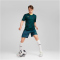 PUMA Torwarttrikot Herren 39 - malachite M