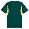 PUMA Torwarttrikot Herren 39 - malachite M