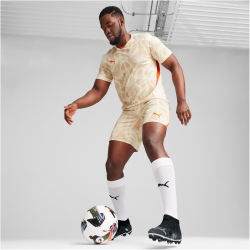 PUMA Torwarttrikot Herren 38 - alpine snow M