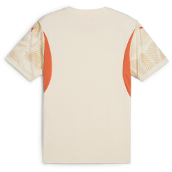 PUMA Torwarttrikot Herren 38 - alpine snow M