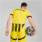 PUMA BVB Borussia Dortmund Cup Trikot 2024/25 Herren 01 - faster yellow/puma black M