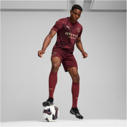 PUMA Manchester City FC Ausweichtrikot 2024/25 Herren 03...