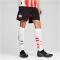 PUMA PSV Eindhoven Shorts 2024/25 Herren 04 - PUMA black/for all time red XXL