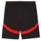 PUMA PSV Eindhoven Shorts 2024/25 Herren 04 - PUMA black/for all time red XXL