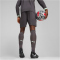 PUMA AC Mailand Shorts 2024/25 Herren 03 - shadow gray/fresh mint XL