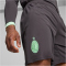 PUMA AC Mailand Shorts 2024/25 Herren 03 - shadow gray/fresh mint XL