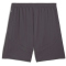 PUMA AC Mailand Shorts 2024/25 Herren 03 - shadow gray/fresh mint XL