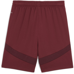 PUMA Manchester City FC Shorts 2024/25 Kinder 03 - dark jasper 116