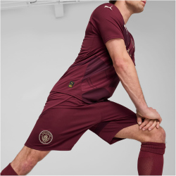 PUMA Manchester City FC Shorts 2024/25 Herren 03 - dark...