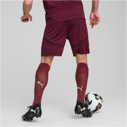 PUMA Manchester City FC Shorts 2024/25 Herren 03 - dark...
