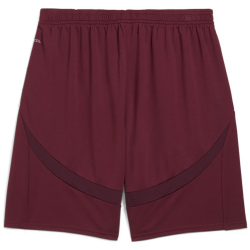 PUMA Manchester City FC Shorts 2024/25 Herren 03 - dark...