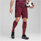 PUMA Manchester City FC Shorts 2024/25 Herren 03 - dark jasper S