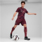 PUMA Manchester City FC Shorts 2024/25 Herren 03 - dark jasper S