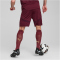 PUMA Manchester City FC Shorts 2024/25 Herren 03 - dark jasper S