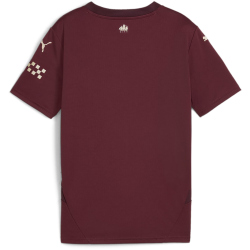 PUMA Manchester City FC Ausweichtrikot 2024/25 Kinder 03 - dark jasper 116