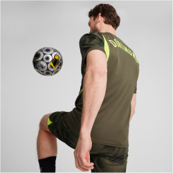 PUMA BVB Borussia Dortmund Torwarttrikot 2024/25 Herren 97 - olive drab/myrtle S