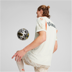 PUMA BVB Borussia Dortmund Torwarttrikot 2024/25 Herren 38 - alpine snow/putty S