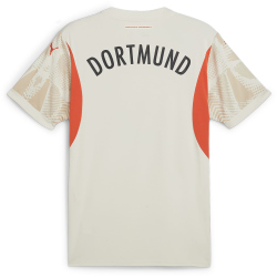 PUMA BVB Borussia Dortmund Torwarttrikot 2024/25 Herren 38 - alpine snow/putty S