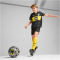 PUMA BVB Borussia Dortmund Auswärtstrikot 2024/25 Kinder 02 - PUMA black/faster yellow 140