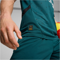 PUMA RC Lens Ausw&auml;rtstrikot 2024/25 Herren 02 - varsity green/puma black S