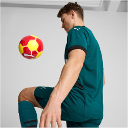 PUMA RC Lens Ausw&auml;rtstrikot 2024/25 Herren 02 - varsity green/puma black S