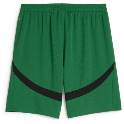 PUMA Borussia M&ouml;nchengladbach Shorts 2024/25 Herren 04 - archive green/puma black S