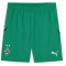 PUMA Borussia M&ouml;nchengladbach Promo Shorts Herren 04 - archive green/puma black M