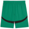 PUMA Borussia M&ouml;nchengladbach Promo Shorts Herren 04 - archive green/puma black M