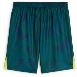 PUMA Borussia M&ouml;nchengladbach Torwartshorts 2024/25 Herren 39 - malachite/persian blue S
