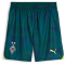 PUMA Borussia M&ouml;nchengladbach Torwartshorts 2024/25 Herren 39 - malachite/persian blue S