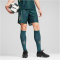PUMA Borussia M&ouml;nchengladbach Torwartshorts 2024/25 Herren 39 - malachite/persian blue S