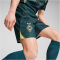 PUMA Borussia M&ouml;nchengladbach Torwartshorts 2024/25 Herren 39 - malachite/persian blue S