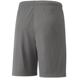 PUMA teamLIGA Trainingsshorts Herren 13 - smoked...