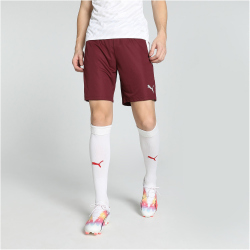 PUMA teamLIGA Trainingsshorts Herren 09 - cordovan/puma...