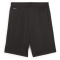 PUMA Active Sports Polyester Trainingsshorts Jungen 01 - PUMA black 128