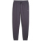 PUMA RAD/CAL Double Knit Jogginghose Herren 69 - galactic gray L