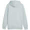 PUMA Essentials+ 2 Col Small Logo Fleece-Hoodie Herren 26 - frosted dew XL