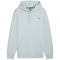PUMA Essentials+ 2 Col Small Logo Fleece-Hoodie Herren 26 - frosted dew XXL