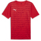 PUMA individualRISE Graphic Trikot Herren 02 - PUMA red XL