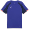 PUMA IndividualLIGA Trikot Herren 01 - bluemazing S