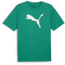 PUMA teamRISE Logo Baumwolltrikot Herren 05 - sport...