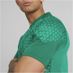 PUMA teamCUP Trainingsshirt Herren 05 - pepper green XS