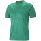 PUMA teamCUP Trainingsshirt Herren 05 - pepper green XS